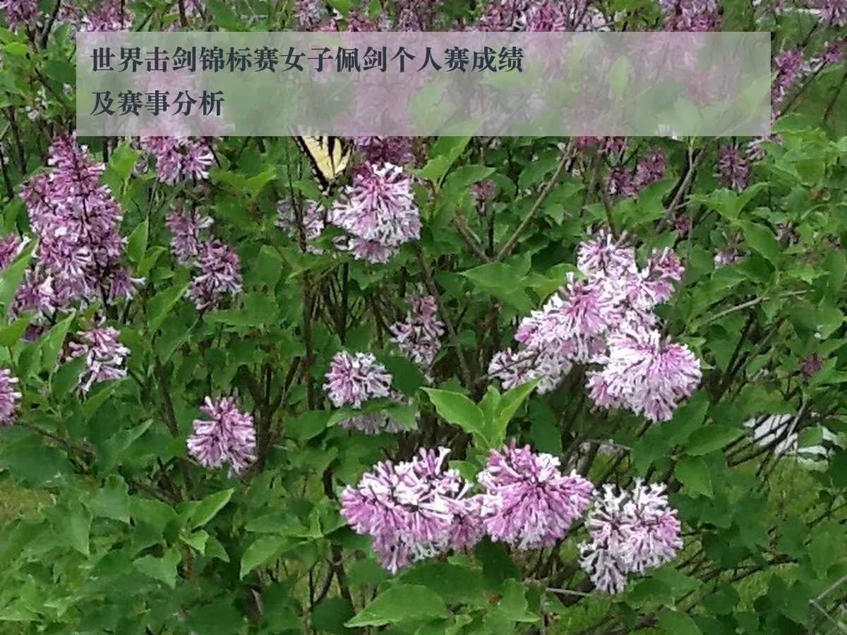 世界击剑锦标赛女子佩剑个人赛成绩及赛事分析